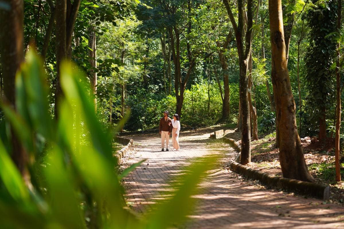 Virtual tour background