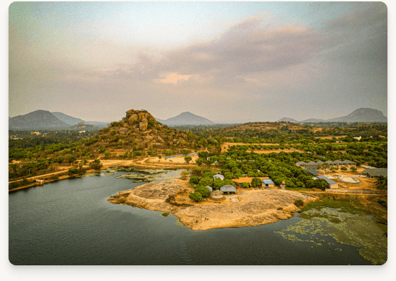 Qmangoforest destination
