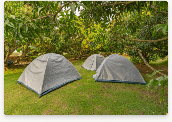 Outdoor trekking experience