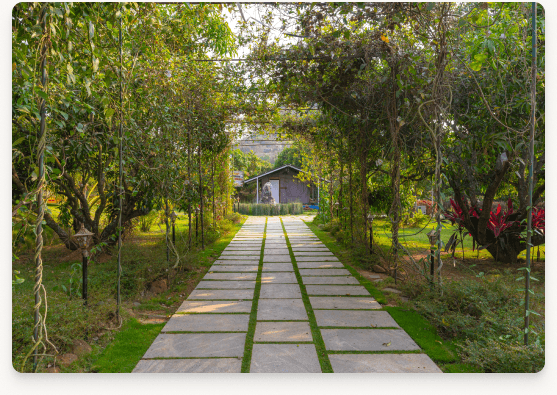 Qmangoforest opening day